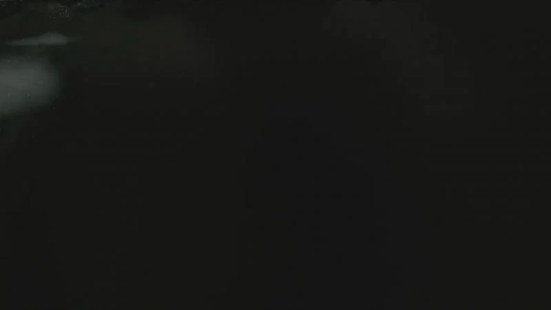 Кадры из сериала Йеллоустоун: 1883 (2021)