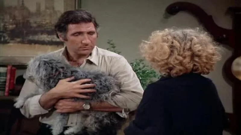 Кадры из сериала Такси (1978)